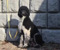 processed/f8457ff2-57ff-42bb-8b09-390423a9708f/facility/83167702-872a-4930-9642-af31403daaf4