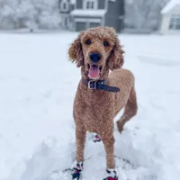 processed/f8457ff2-57ff-42bb-8b09-390423a9708f/facility/9318a286-d2ef-4dae-9cbd-21a8a01eaefb