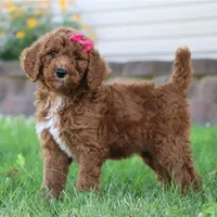 processed/f8457ff2-57ff-42bb-8b09-390423a9708f/facility/b8a45e85-044d-45a2-8302-46d52928b5f1