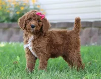 processed/f8457ff2-57ff-42bb-8b09-390423a9708f/facility/b8a45e85-044d-45a2-8302-46d52928b5f1