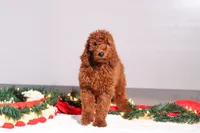 processed/f8457ff2-57ff-42bb-8b09-390423a9708f/listing/0d03a42a-5bdf-4cf0-917d-bdf3536e0fc0/39dfbad7-6a34-414b-9145-a1b2b73f0a67