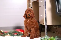 processed/f8457ff2-57ff-42bb-8b09-390423a9708f/listing/0d03a42a-5bdf-4cf0-917d-bdf3536e0fc0/405e7891-1785-407f-b7e1-5332cffa2b5d