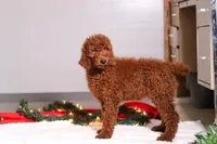 processed/f8457ff2-57ff-42bb-8b09-390423a9708f/listing/0d03a42a-5bdf-4cf0-917d-bdf3536e0fc0/bb493b3e-c1b5-4c71-9a24-70aa7916d474