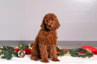 processed/f8457ff2-57ff-42bb-8b09-390423a9708f/listing/0d03a42a-5bdf-4cf0-917d-bdf3536e0fc0/c2e13ee9-b48d-4efe-8792-d30daab41ec9