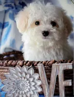 processed/f845a4f7-140f-4c86-a173-ffd7b9ed47b8/facility/0ce36e57-1acd-459e-bc4e-e1a30dfa0e0f