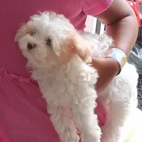 processed/f845a4f7-140f-4c86-a173-ffd7b9ed47b8/facility/142945f9-4dc4-4211-9c84-374b7f74b75d