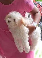 processed/f845a4f7-140f-4c86-a173-ffd7b9ed47b8/facility/142945f9-4dc4-4211-9c84-374b7f74b75d