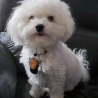 processed/f845a4f7-140f-4c86-a173-ffd7b9ed47b8/facility/40a32344-1fed-4484-aa63-3ef65e1040c5