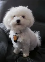 processed/f845a4f7-140f-4c86-a173-ffd7b9ed47b8/facility/40a32344-1fed-4484-aa63-3ef65e1040c5