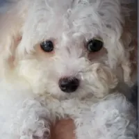 processed/f845a4f7-140f-4c86-a173-ffd7b9ed47b8/facility/6a2fd2ba-8c56-469c-8520-ac9b8c979e3a