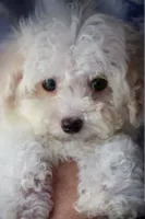 processed/f845a4f7-140f-4c86-a173-ffd7b9ed47b8/facility/6a2fd2ba-8c56-469c-8520-ac9b8c979e3a