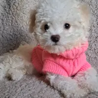 processed/f845a4f7-140f-4c86-a173-ffd7b9ed47b8/facility/6cd07155-c34b-459a-aa56-9cc9105aba8f