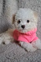 processed/f845a4f7-140f-4c86-a173-ffd7b9ed47b8/facility/6cd07155-c34b-459a-aa56-9cc9105aba8f