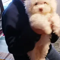 processed/f845a4f7-140f-4c86-a173-ffd7b9ed47b8/facility/8c674ea3-5199-4504-9494-d601c8b05b9b