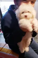 processed/f845a4f7-140f-4c86-a173-ffd7b9ed47b8/facility/8c674ea3-5199-4504-9494-d601c8b05b9b