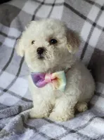 processed/f845a4f7-140f-4c86-a173-ffd7b9ed47b8/facility/e6aca64e-950f-4160-8fe1-984324b8071a