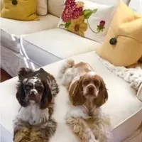 processed/f8485e6d-cb15-4bfd-946f-7c27fd0a36da/facility/d15d0c81-95c8-4ab4-aa74-084e6e5dab47