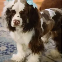 processed/f8485e6d-cb15-4bfd-946f-7c27fd0a36da/facility/dc5482bc-9b83-48d0-bfb8-7843da5cb13a