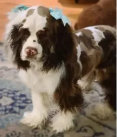 processed/f8485e6d-cb15-4bfd-946f-7c27fd0a36da/facility/dc5482bc-9b83-48d0-bfb8-7843da5cb13a