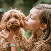 processed/f8485e6d-cb15-4bfd-946f-7c27fd0a36da/facility/f2cdb1be-ee54-4045-afce-0d193e15aced