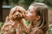 processed/f8485e6d-cb15-4bfd-946f-7c27fd0a36da/facility/f2cdb1be-ee54-4045-afce-0d193e15aced