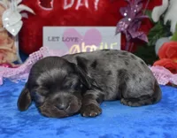 processed/f8485e6d-cb15-4bfd-946f-7c27fd0a36da/listing/5d74218f-23cc-4a44-b3b8-15045fc48ab2/0e56987a-3e64-4f5a-b885-58f131e7c618