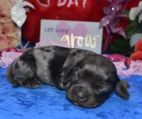 processed/f8485e6d-cb15-4bfd-946f-7c27fd0a36da/listing/5d74218f-23cc-4a44-b3b8-15045fc48ab2/4755bcbf-d120-46df-91bf-299d96177ffc