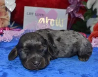 processed/f8485e6d-cb15-4bfd-946f-7c27fd0a36da/listing/5d74218f-23cc-4a44-b3b8-15045fc48ab2/d957f6ba-fb64-4143-bc10-7971d7e24892