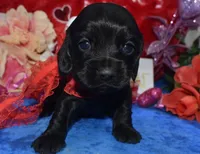 processed/f8485e6d-cb15-4bfd-946f-7c27fd0a36da/listing/b029b67b-a623-4d92-a6d1-2aed65313287/66fea666-b0d2-4e8f-81e4-d4fbf500bf58