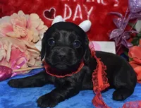 processed/f8485e6d-cb15-4bfd-946f-7c27fd0a36da/listing/b029b67b-a623-4d92-a6d1-2aed65313287/783813c7-ebce-49ab-9927-ac36b81be255