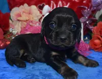 processed/f8485e6d-cb15-4bfd-946f-7c27fd0a36da/listing/b04f5bc6-56da-4ee6-8998-75d791e129ba/44cb0481-d328-4716-a8b5-faa2042d46fc