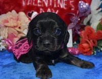 processed/f8485e6d-cb15-4bfd-946f-7c27fd0a36da/listing/b04f5bc6-56da-4ee6-8998-75d791e129ba/46f75819-eb3f-4e1c-b543-dd0311ec3a33