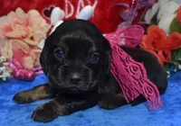 processed/f8485e6d-cb15-4bfd-946f-7c27fd0a36da/listing/b04f5bc6-56da-4ee6-8998-75d791e129ba/73cd372d-e1f4-44a6-9c95-fca690aa9513