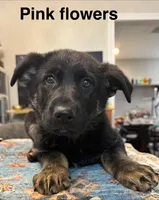 processed/f84dcb93-bc26-4506-8d78-1f62cb759c9b/facility/1d9d167c-abad-4680-97b6-143ea0de820f