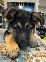 processed/f84dcb93-bc26-4506-8d78-1f62cb759c9b/facility/3aba79ec-afe2-4aa3-8b39-08f8dfad8d26