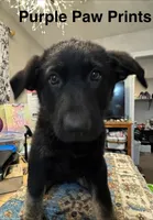 processed/f84dcb93-bc26-4506-8d78-1f62cb759c9b/facility/9b1eed33-44b5-46e6-ad30-4e058076be0a