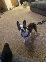 processed/f8563711-dd00-4360-846a-18d92b085d9a/listing/1b39f4d6-f865-4f2a-96c0-d57801dc746f/82ef5893-8f06-4451-855d-1f01274781d7