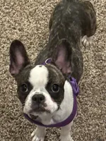 processed/f8563711-dd00-4360-846a-18d92b085d9a/listing/1b39f4d6-f865-4f2a-96c0-d57801dc746f/ea8d774a-4777-45b5-bca3-30ca40a51f9d