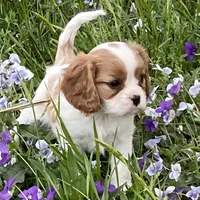 processed/f8573c53-8e07-4991-8cf4-c56ac73545d1/facility/04ccc5b4-7132-4918-9178-1cf4128509c5