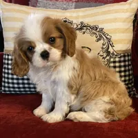 processed/f8573c53-8e07-4991-8cf4-c56ac73545d1/facility/0c6bc70b-3816-4a26-ad06-de103511cd86