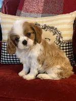 processed/f8573c53-8e07-4991-8cf4-c56ac73545d1/facility/0c6bc70b-3816-4a26-ad06-de103511cd86