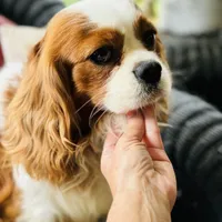 processed/f8573c53-8e07-4991-8cf4-c56ac73545d1/facility/116f8395-a2e2-449c-bebf-48328951d645