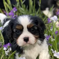 processed/f8573c53-8e07-4991-8cf4-c56ac73545d1/facility/18c8f6f3-3546-4b90-afc6-1a166782c8f5