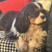 processed/f8573c53-8e07-4991-8cf4-c56ac73545d1/facility/3e8966e8-8a85-4155-9809-350db0a987e7