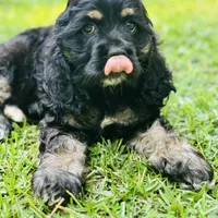 processed/f8573c53-8e07-4991-8cf4-c56ac73545d1/facility/55d2a081-e819-4a35-8110-42bbc3d891c5