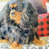 processed/f8573c53-8e07-4991-8cf4-c56ac73545d1/facility/c3050c73-be44-4aa3-9dfc-2b0f65dee9e2