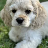 processed/f8573c53-8e07-4991-8cf4-c56ac73545d1/facility/ce7d7fe4-afbe-42ec-8b79-ae311f14f7d7