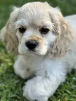 processed/f8573c53-8e07-4991-8cf4-c56ac73545d1/facility/ce7d7fe4-afbe-42ec-8b79-ae311f14f7d7