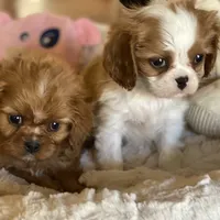 processed/f8573c53-8e07-4991-8cf4-c56ac73545d1/facility/d0f37dfe-9630-4f84-b742-b35c01776b94