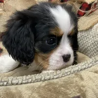 processed/f8573c53-8e07-4991-8cf4-c56ac73545d1/facility/e71cafa4-3ef8-4e0a-9346-cbae15570bf5